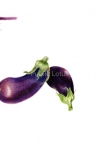 eggplants001-small